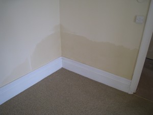 essex-damp-specialist